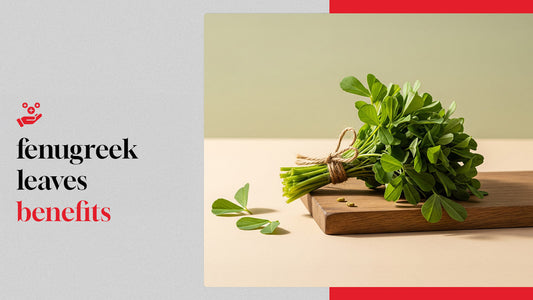 8 Benefits of Fenugreek Leaves